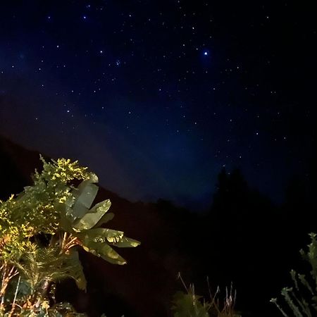 Lucmabamba Lodge Santa Teresa  Εξωτερικό φωτογραφία