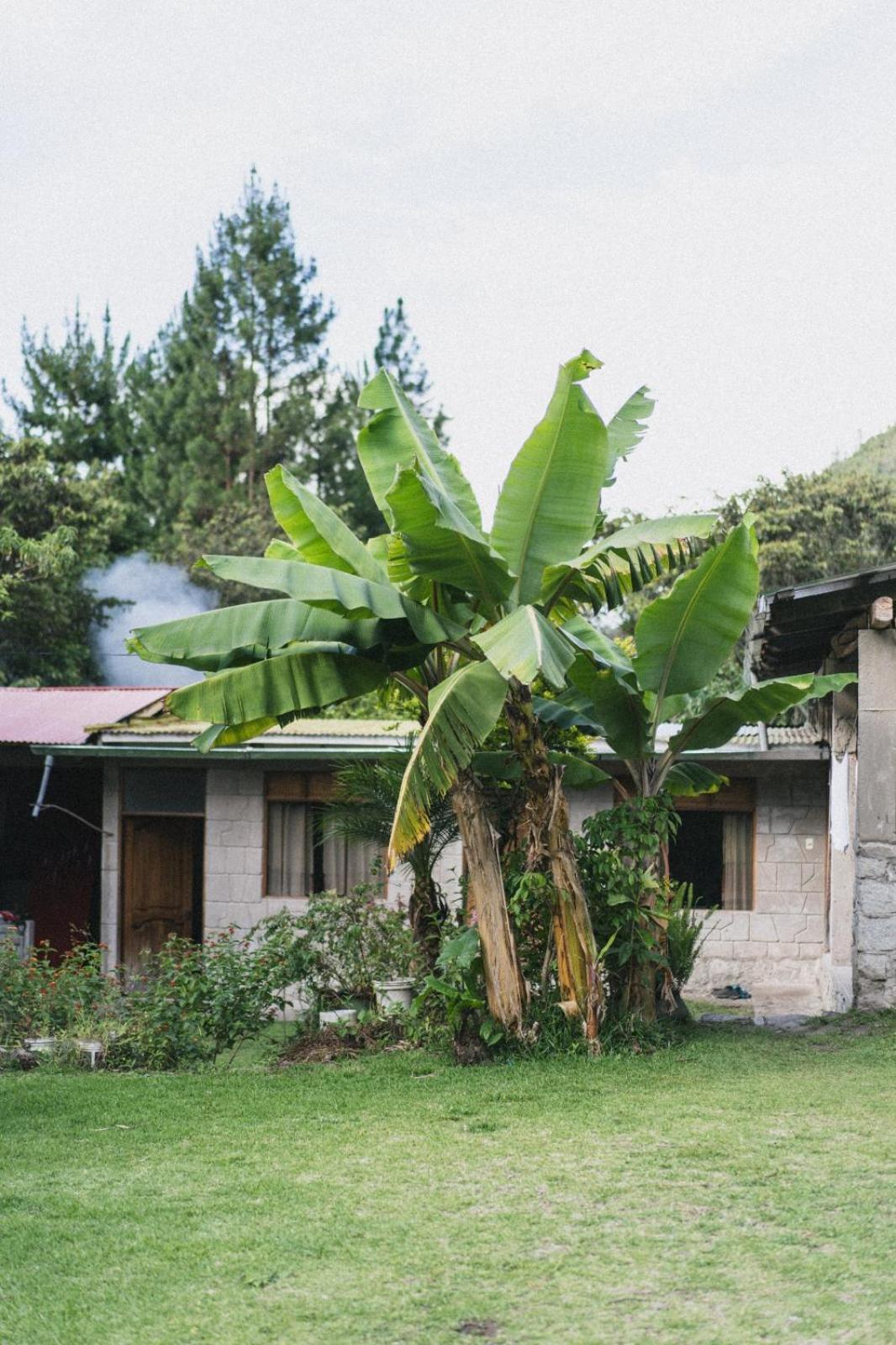 Lucmabamba Lodge Santa Teresa  Εξωτερικό φωτογραφία