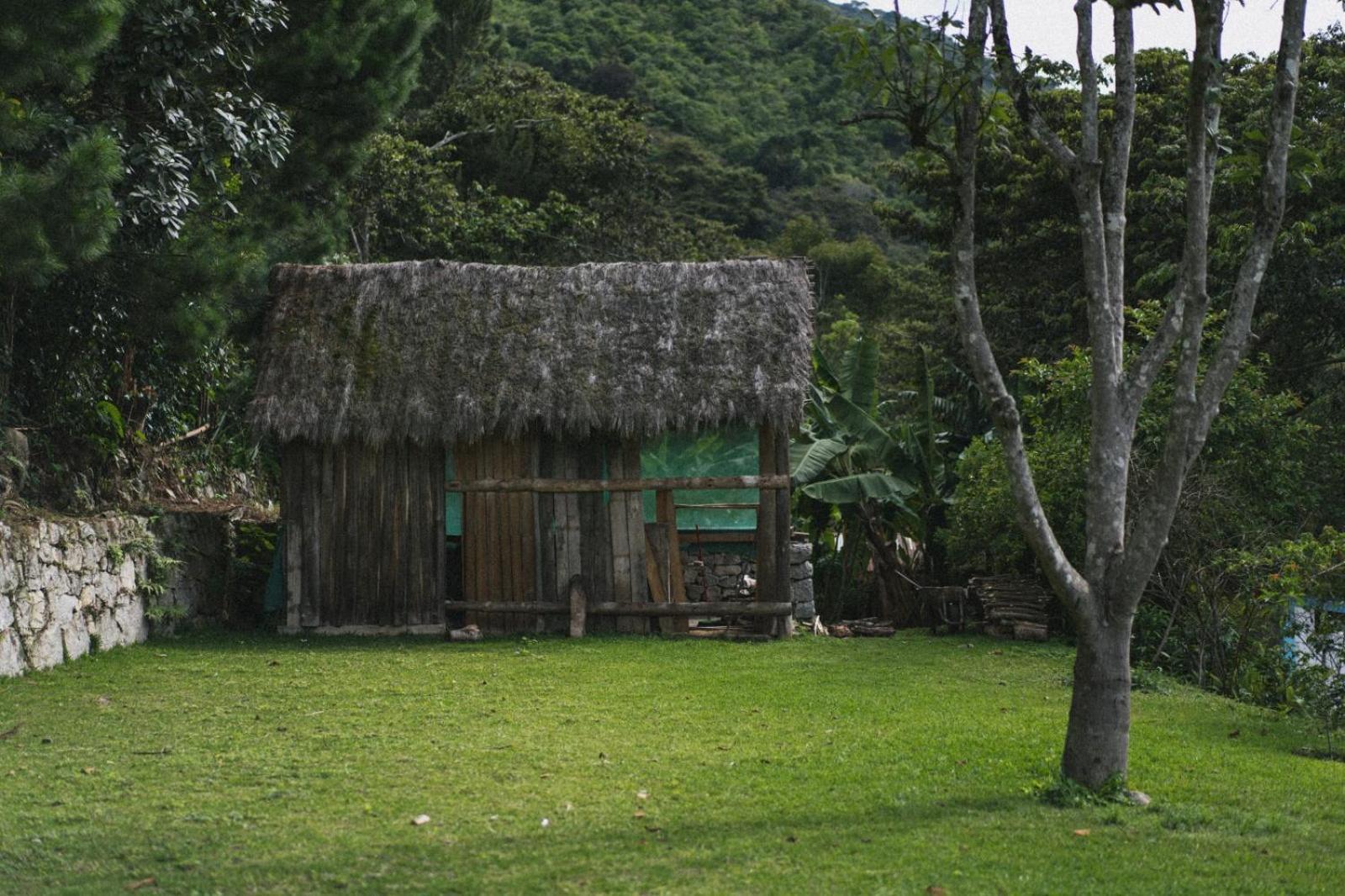 Lucmabamba Lodge Santa Teresa  Εξωτερικό φωτογραφία
